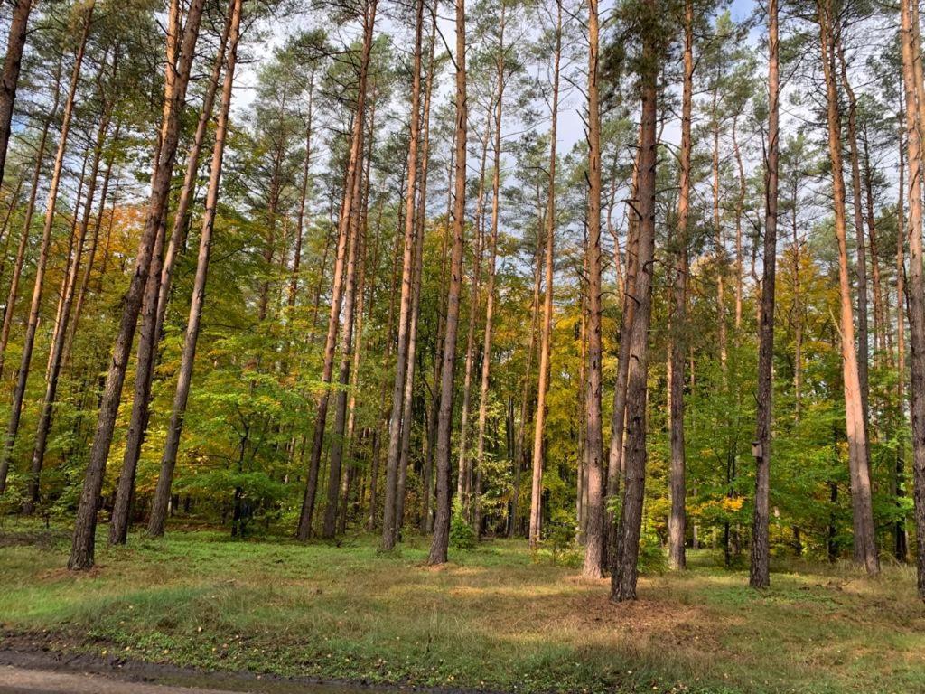 Domek Cyklisty Moryn Exteriör bild