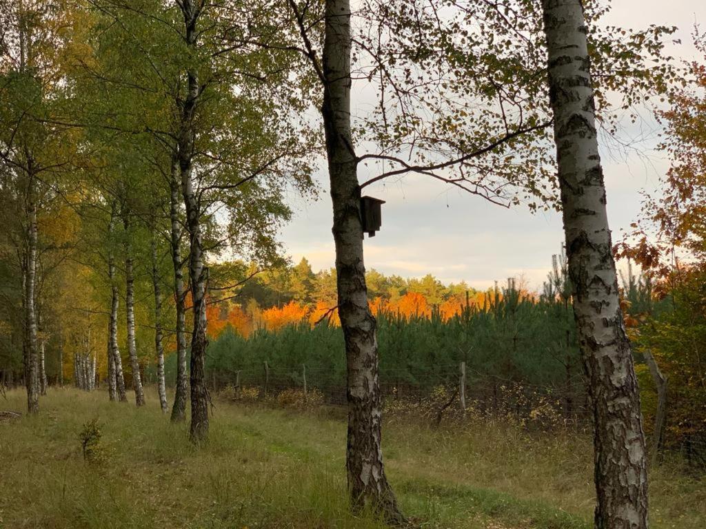 Domek Cyklisty Moryn Exteriör bild