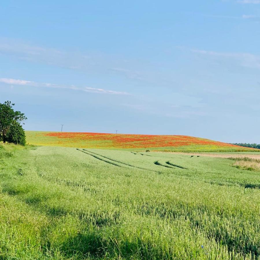 Domek Cyklisty Moryn Exteriör bild