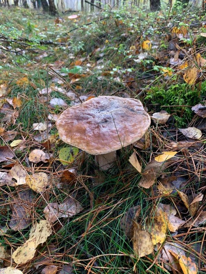 Domek Cyklisty Moryn Exteriör bild